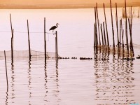     - La Albufera National Park, Spain