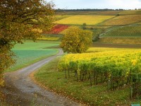     - Beauty in Nature, France