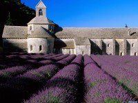 Обои для рабочего стола - Lavender Field, Abbey of Senanque, Near Gordes, Provence, France