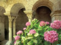     - St Paul-de-Mausolee, France