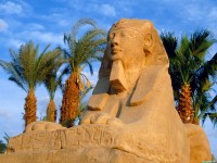     - Avenue of Sphinxes, Luxor, Egypt