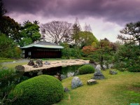     - Seiryuen Garden, Nijo Castle, Japan