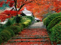 Обои для рабочего стола - Garden Staircase, Kyoto, Japan