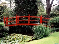Обои для рабочего стола - Japanese Garden, County Kildare, Ireland