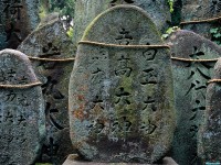 Обои для рабочего стола - Fushimi-inari Taisha Shrine, Kyoto, Japan
