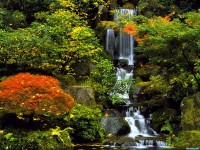 Обои для рабочего стола - Japanese Garden, Portland, Oregon
