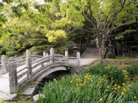 Обои для рабочего стола - Hagi Castle Garden, Western Honshu, Japan