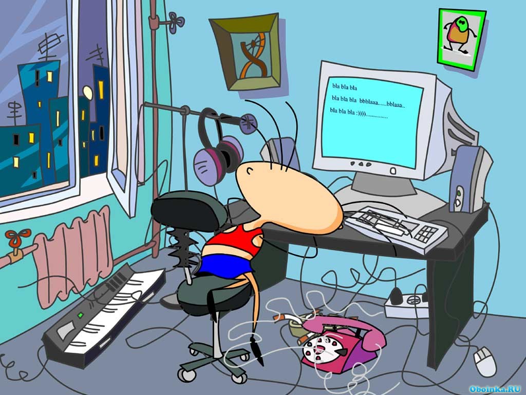  ,     - 1024x768