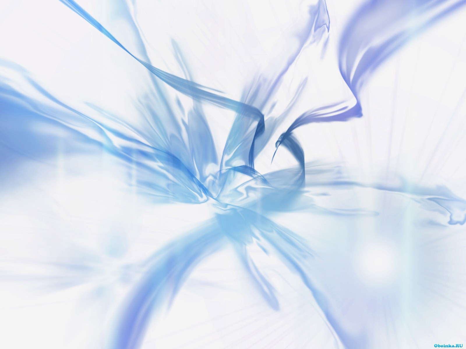  ,     - 1600x1200