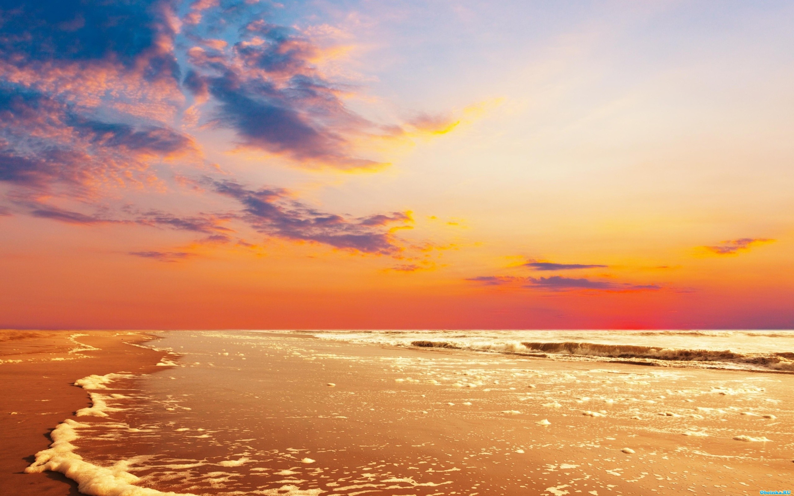  ,     - 2560x1600
