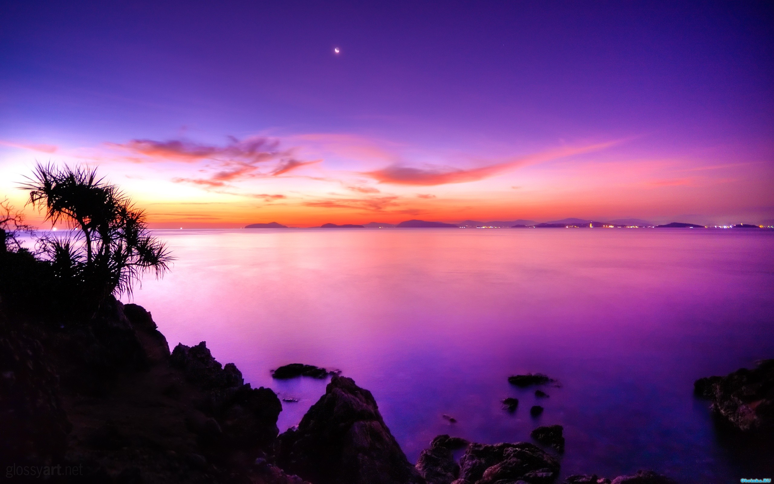  ,     - 2560x1600