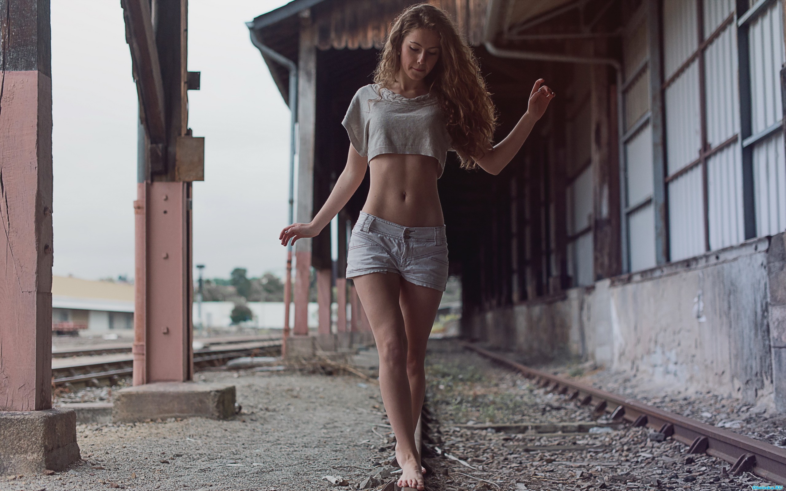  ,     - 2560x1600