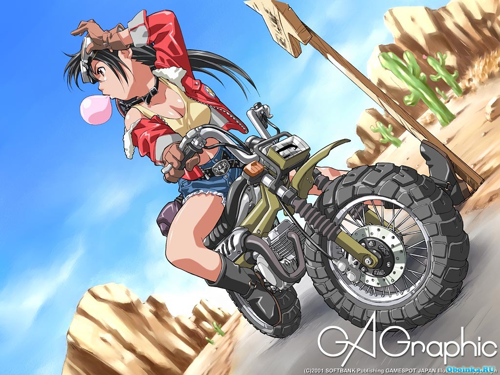  ,     - 1024x768