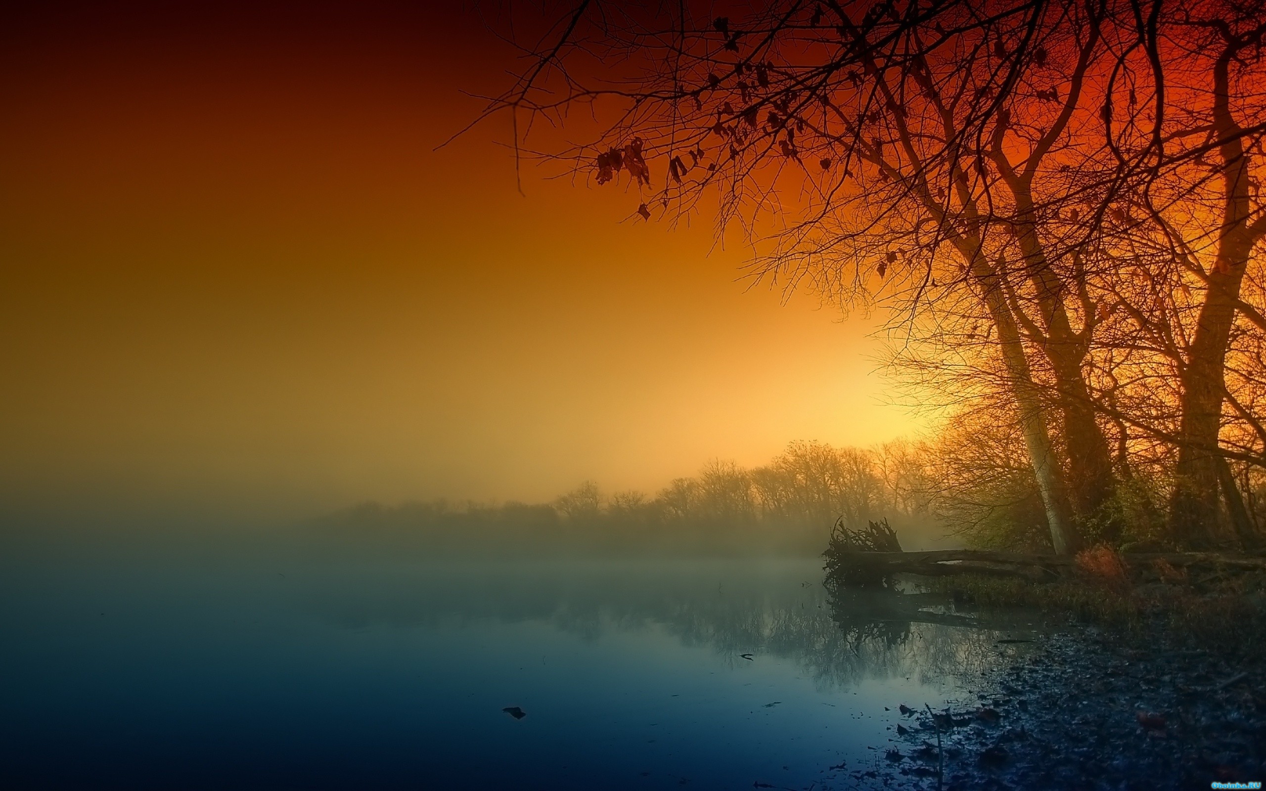  ,     - 2560x1600