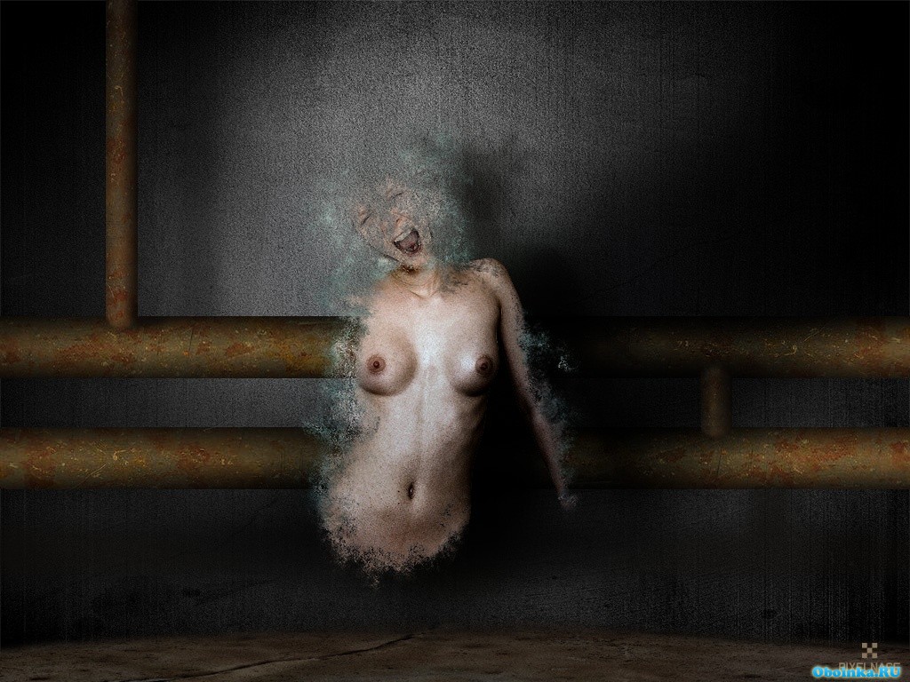  ,     - 1024x768