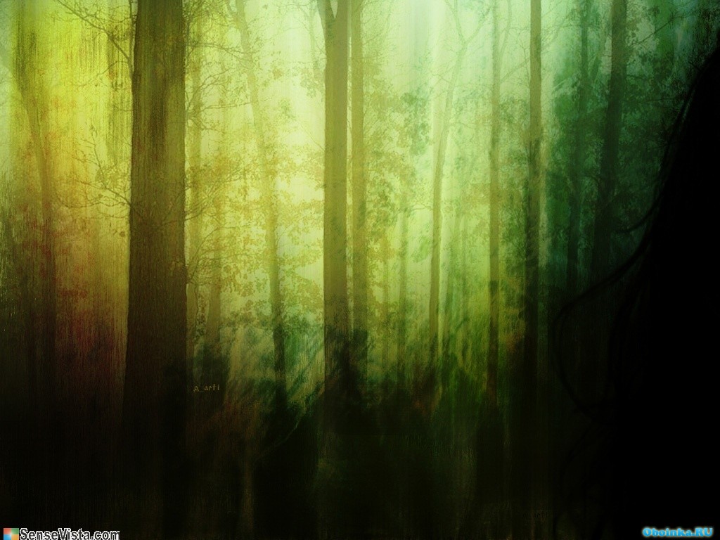  ,     - 1024x768