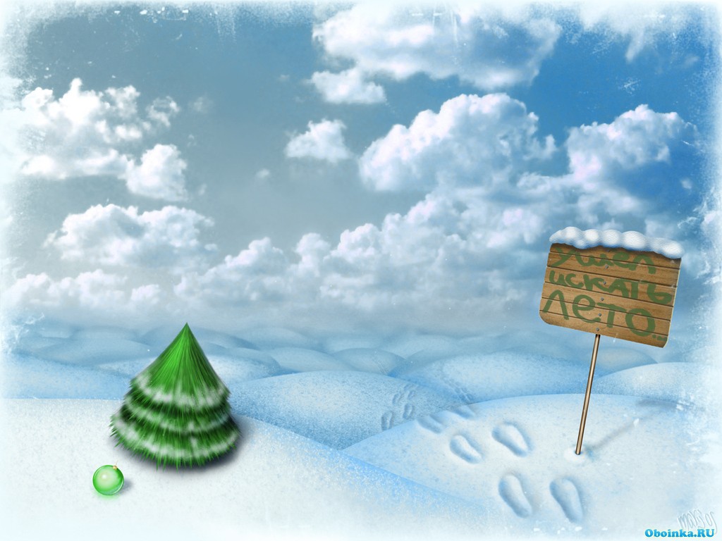  ,     - 1024x768