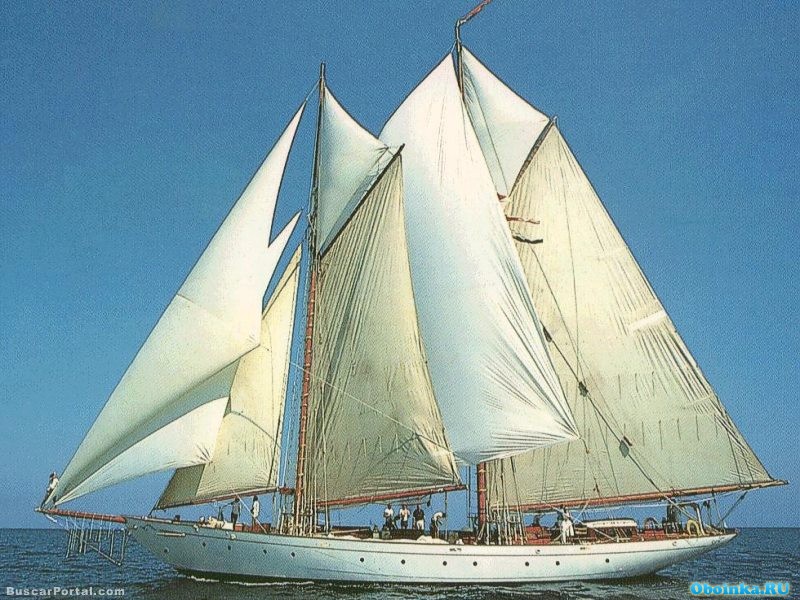 Скачать обои, заставки на рабочий стол - 800x600