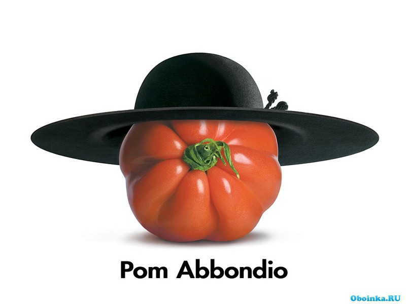  ,     - 800x600