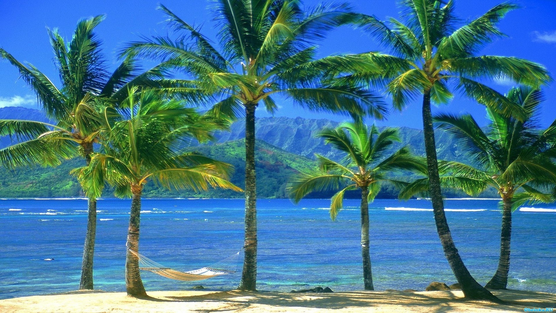 ,     - 1920x1080