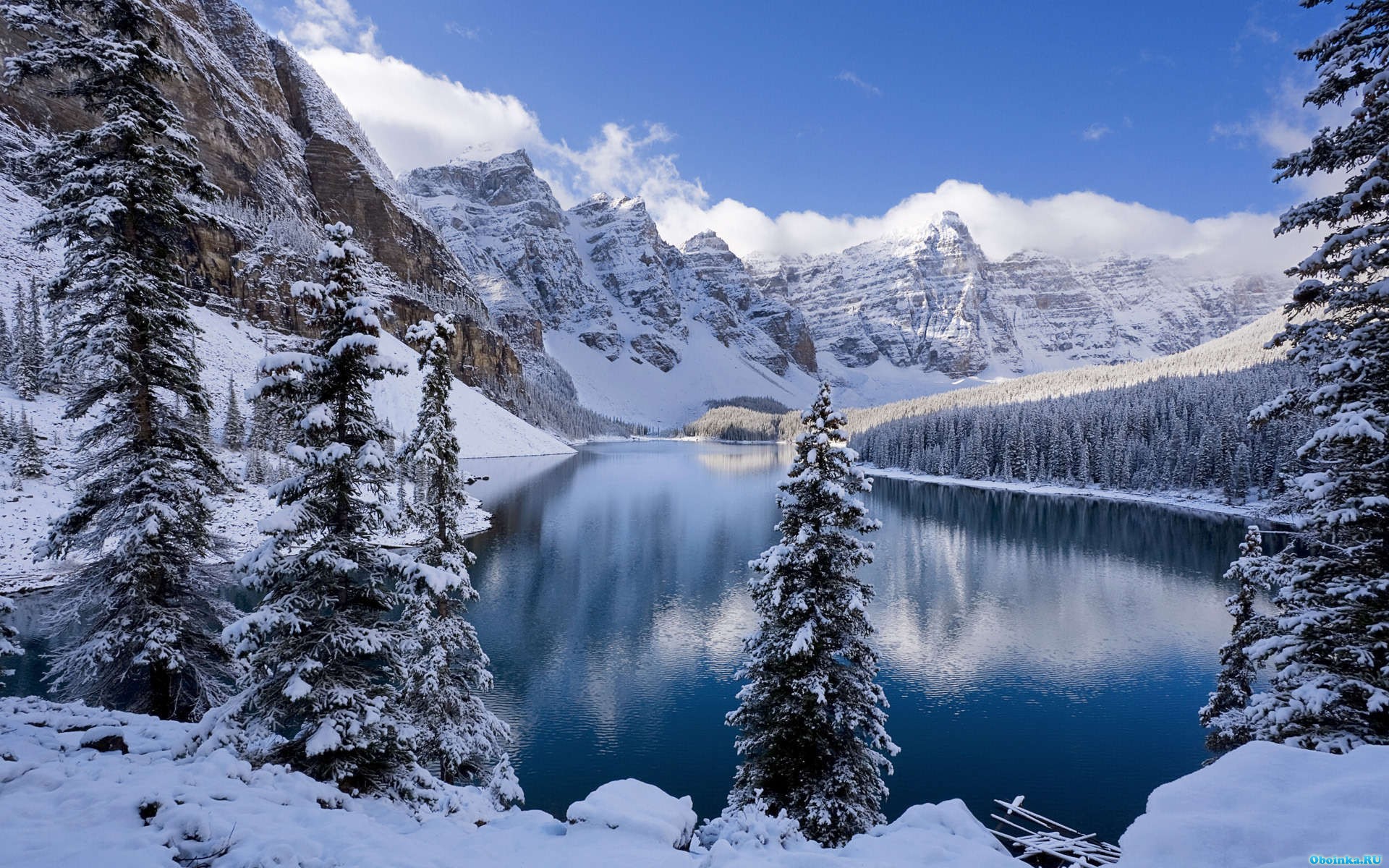  ,     - 1920x1200
