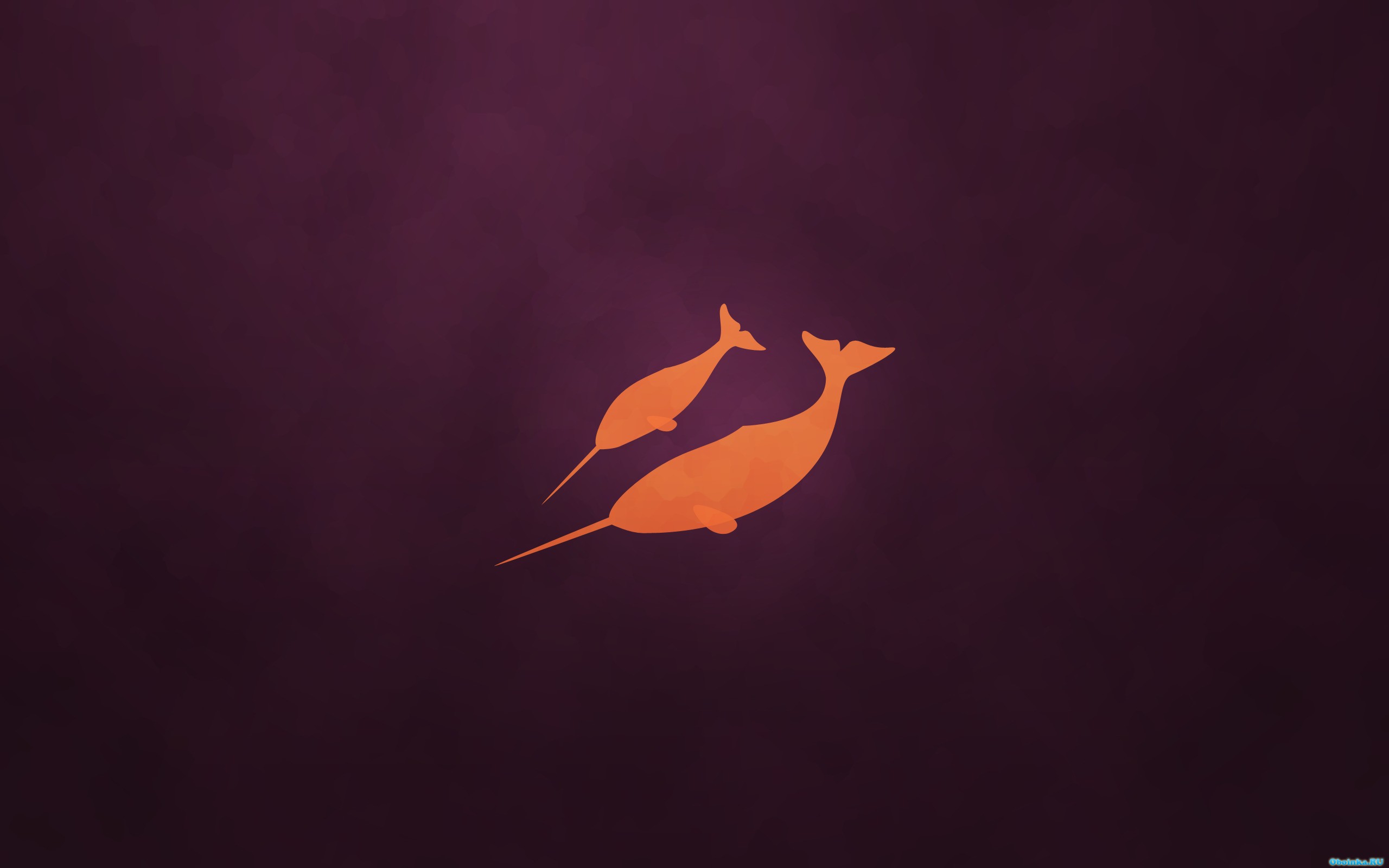  ,     - 2560x1600