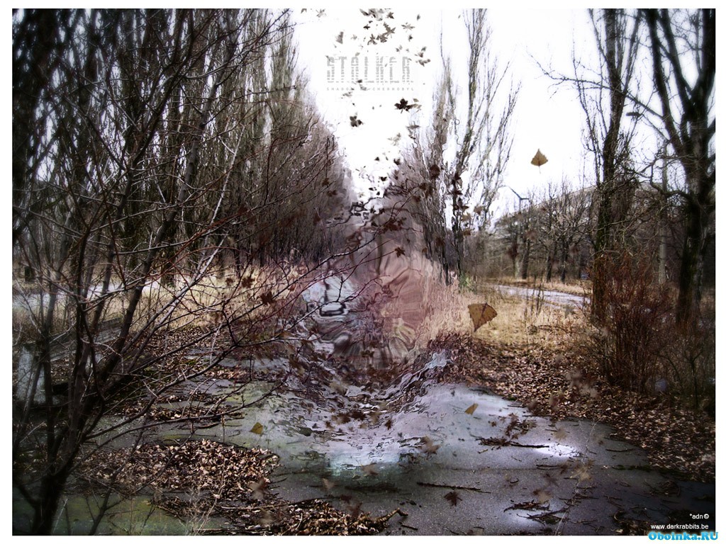  ,     - 1024x768