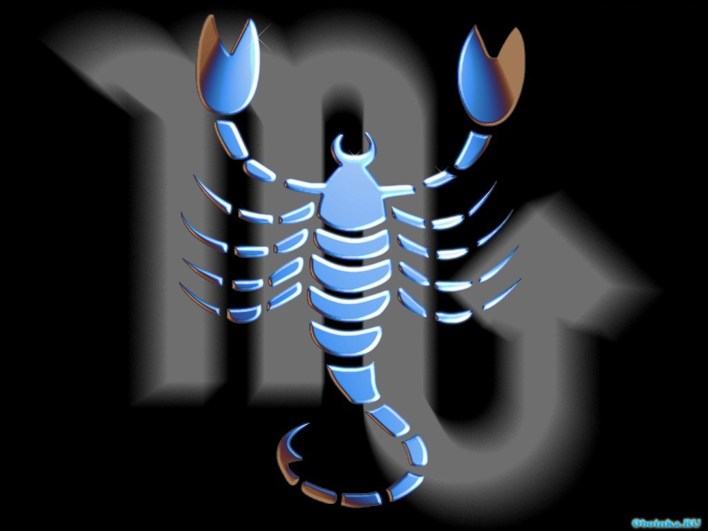  ,     - 1024x768