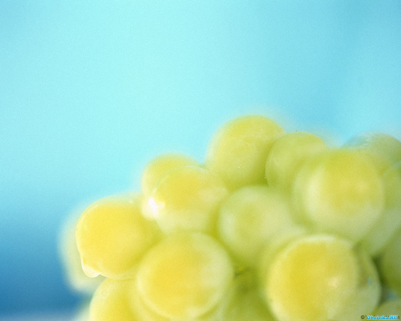  ,     - 1280x1024