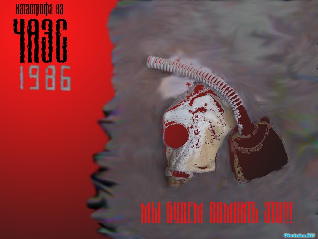  ,     - 1024x768