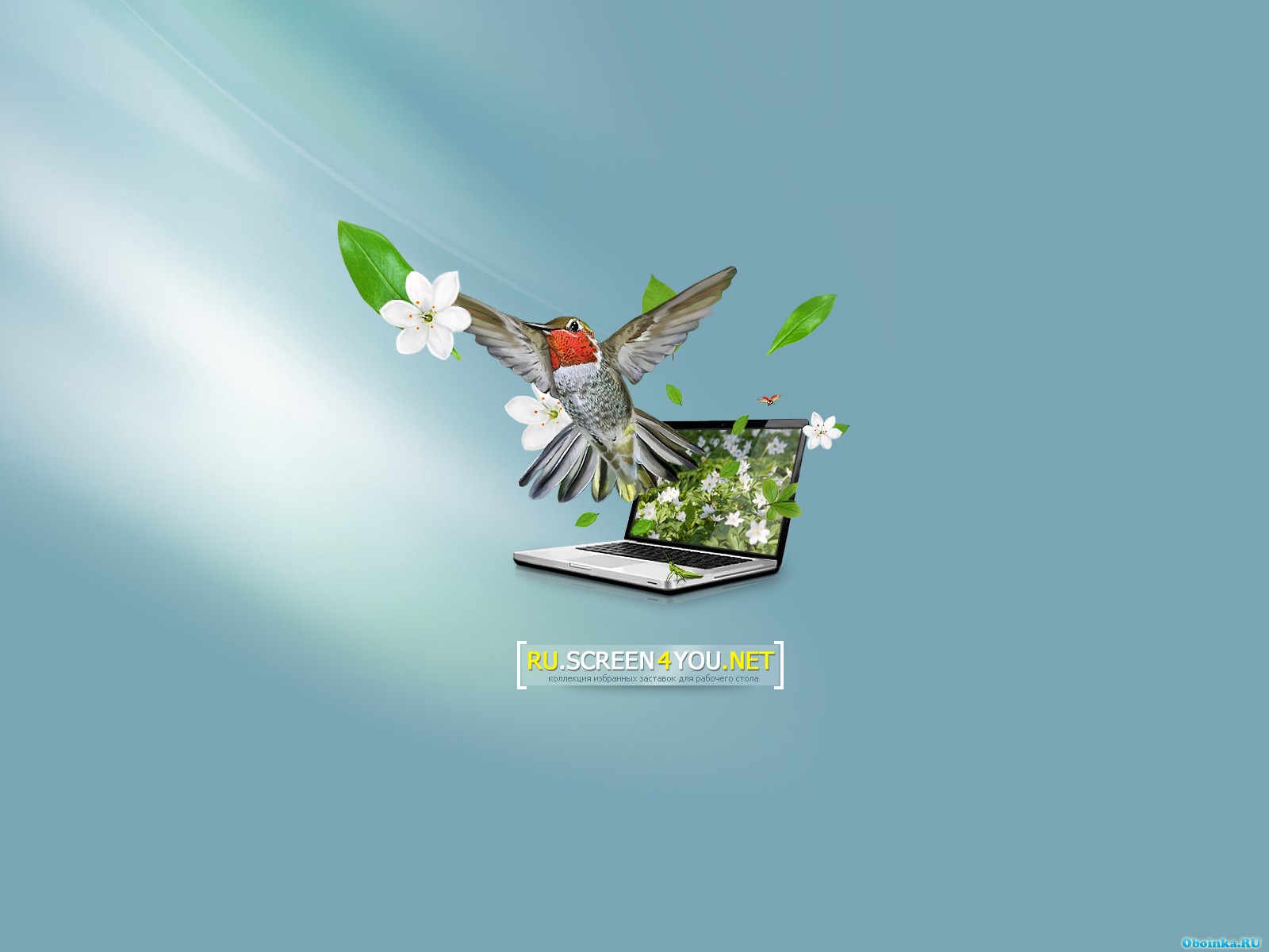  ,     - 1600x1200