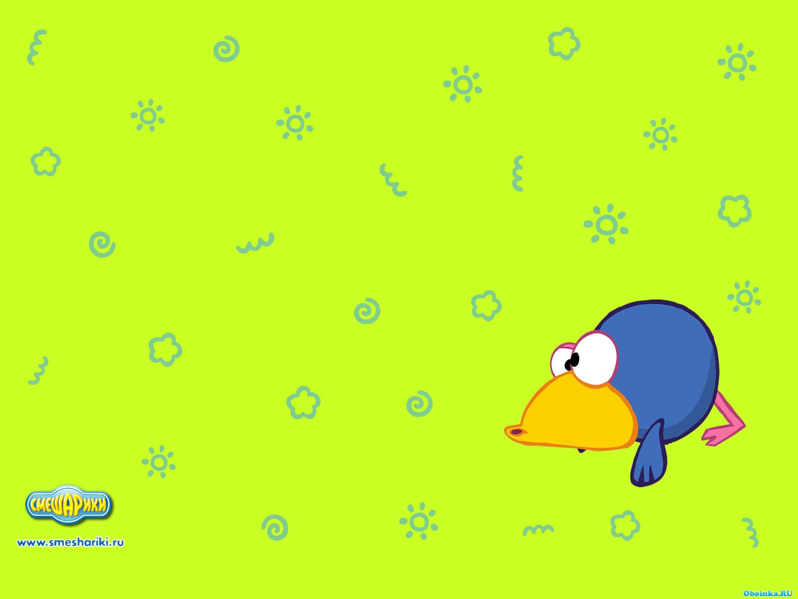  ,     - 1600x1200
