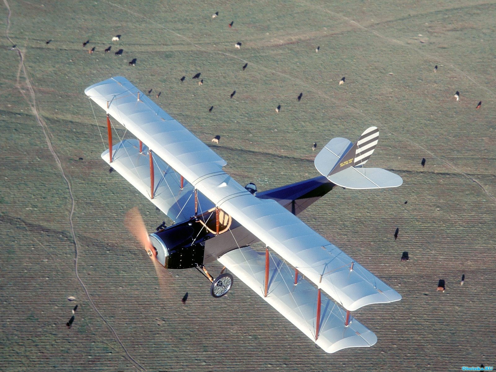 Скачать обои, заставки на рабочий стол - 1600x1200