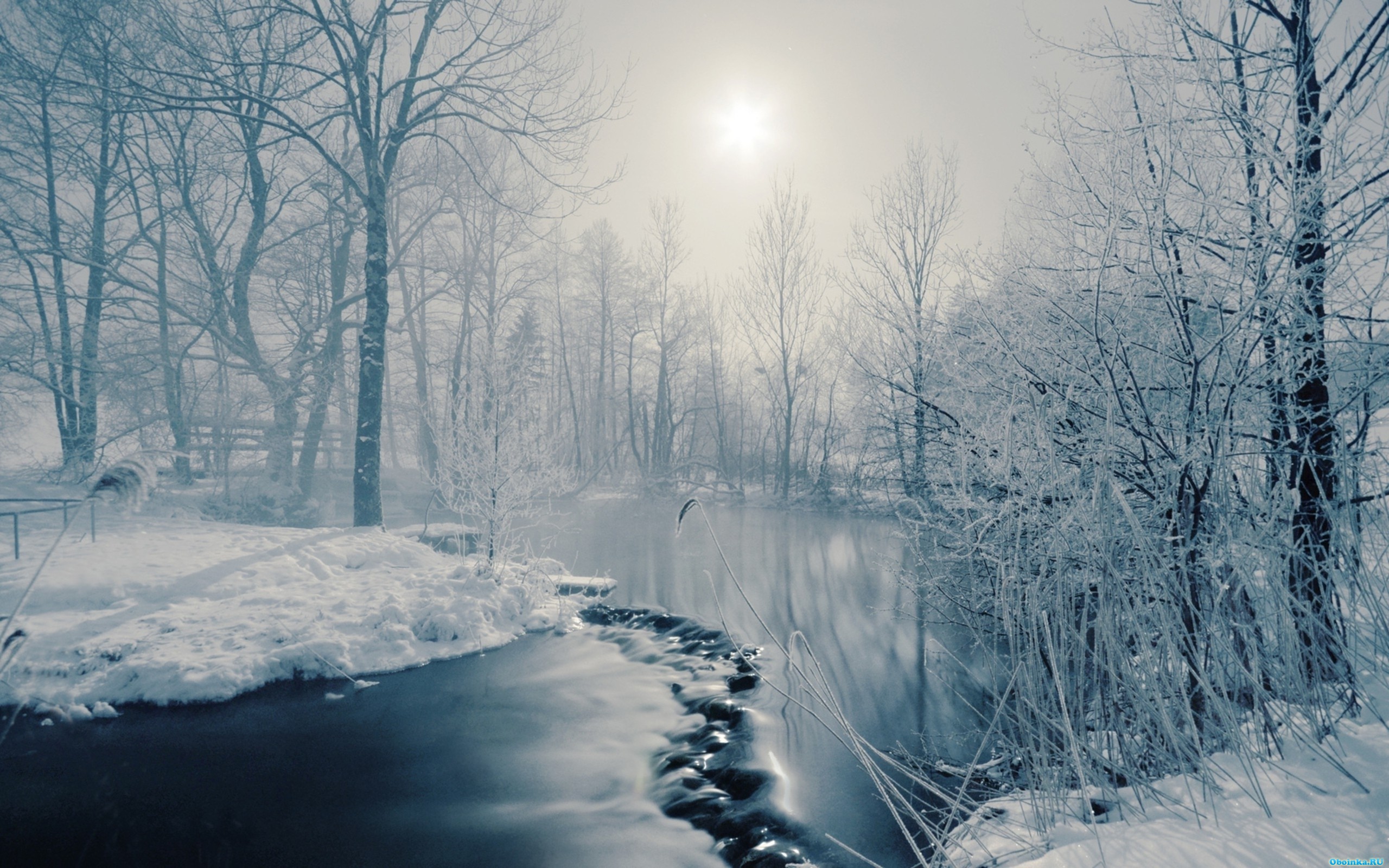  ,     - 2560x1600