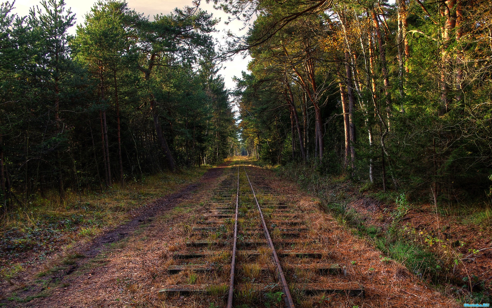 Скачать обои, заставки на рабочий стол - 1920x1200