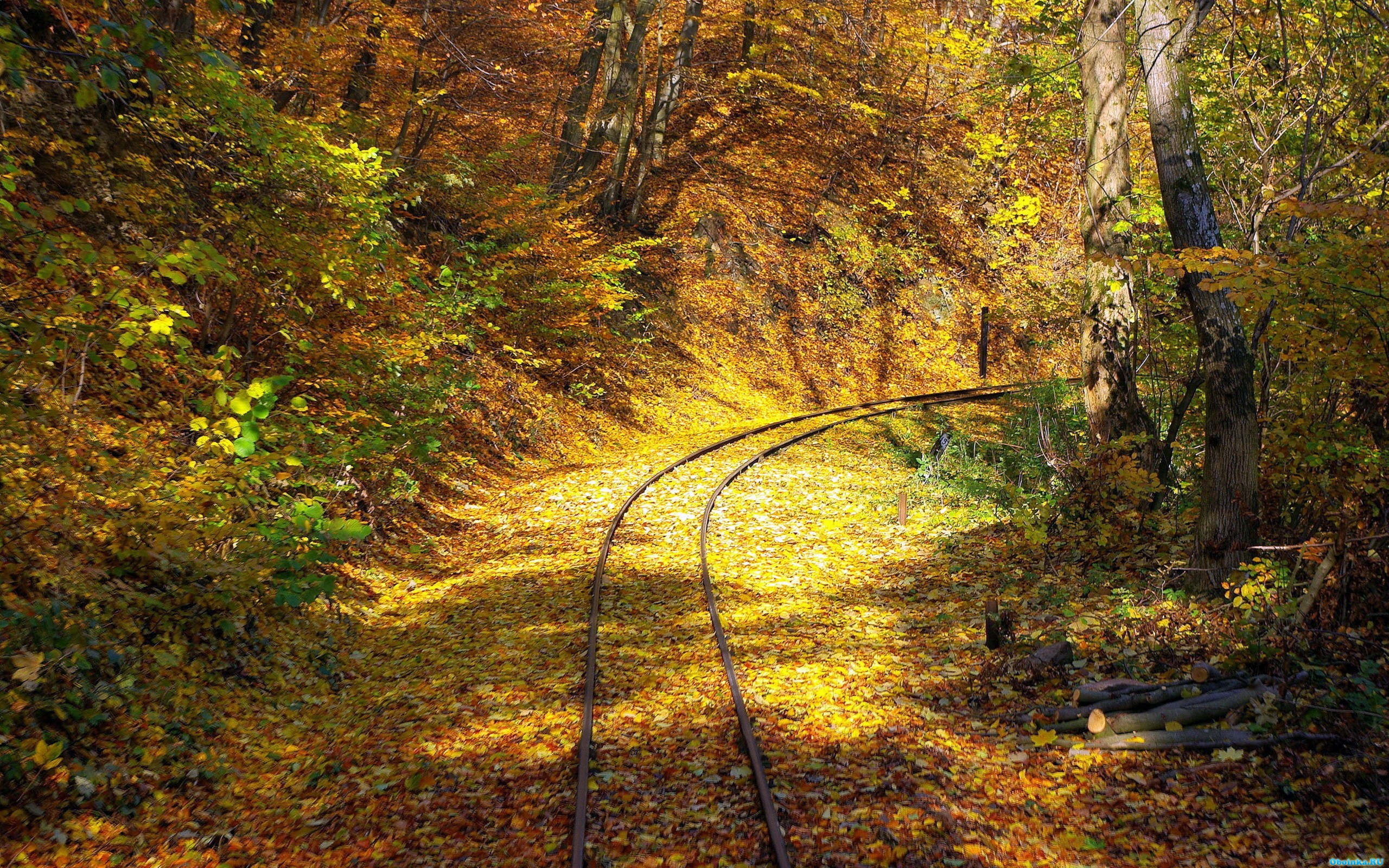  ,     - 2560x1600