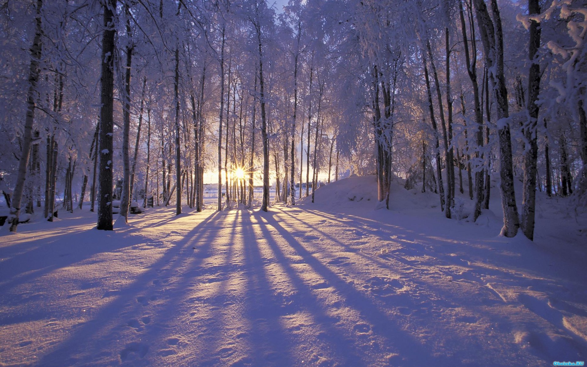 Скачать обои, заставки на рабочий стол - 1920x1200