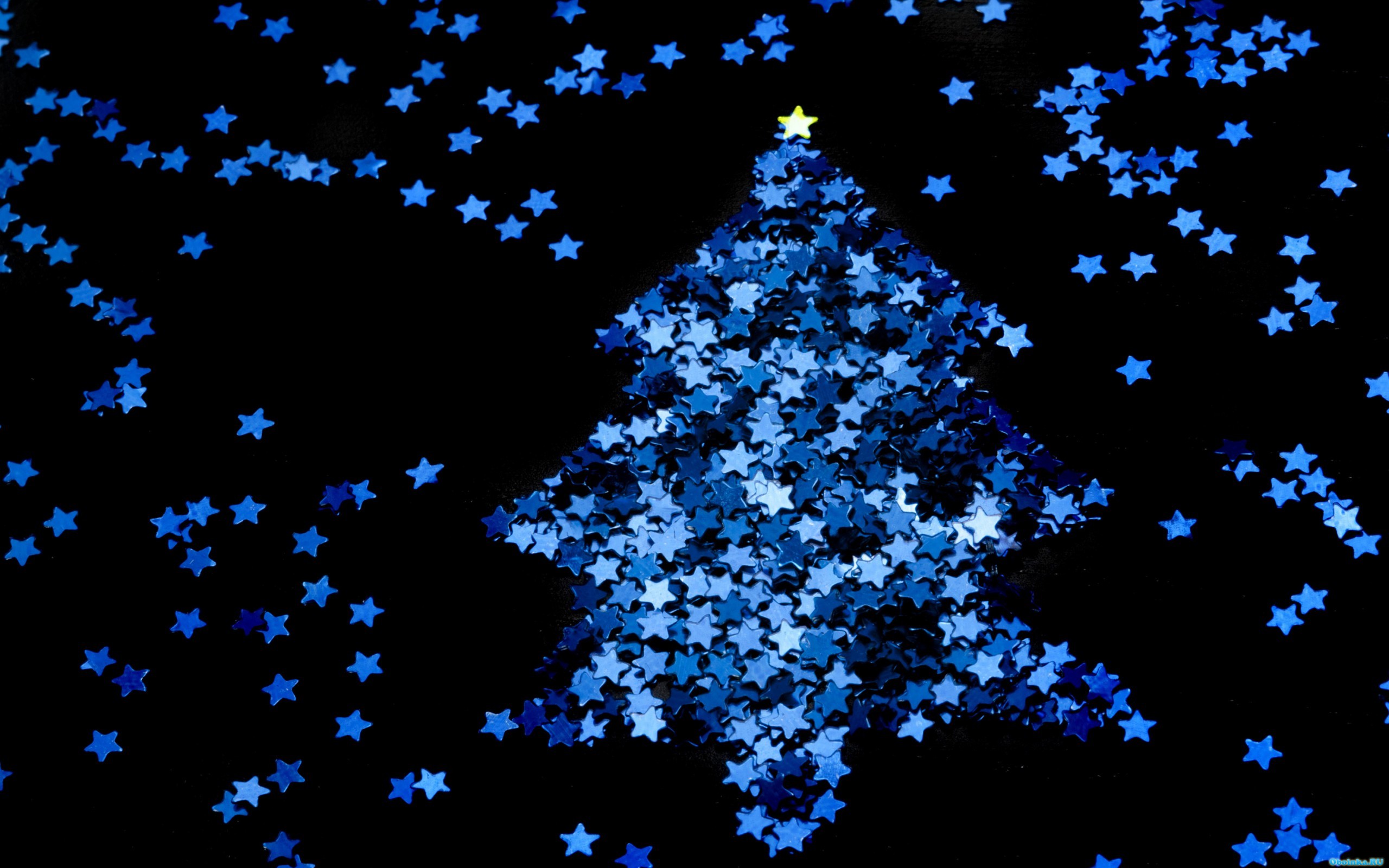  ,     - 2560x1600