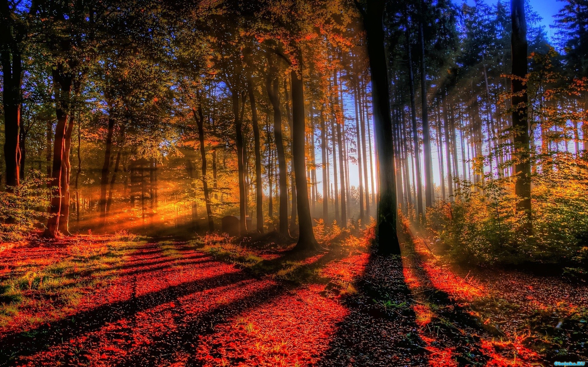 Скачать обои, заставки на рабочий стол - 1920x1200