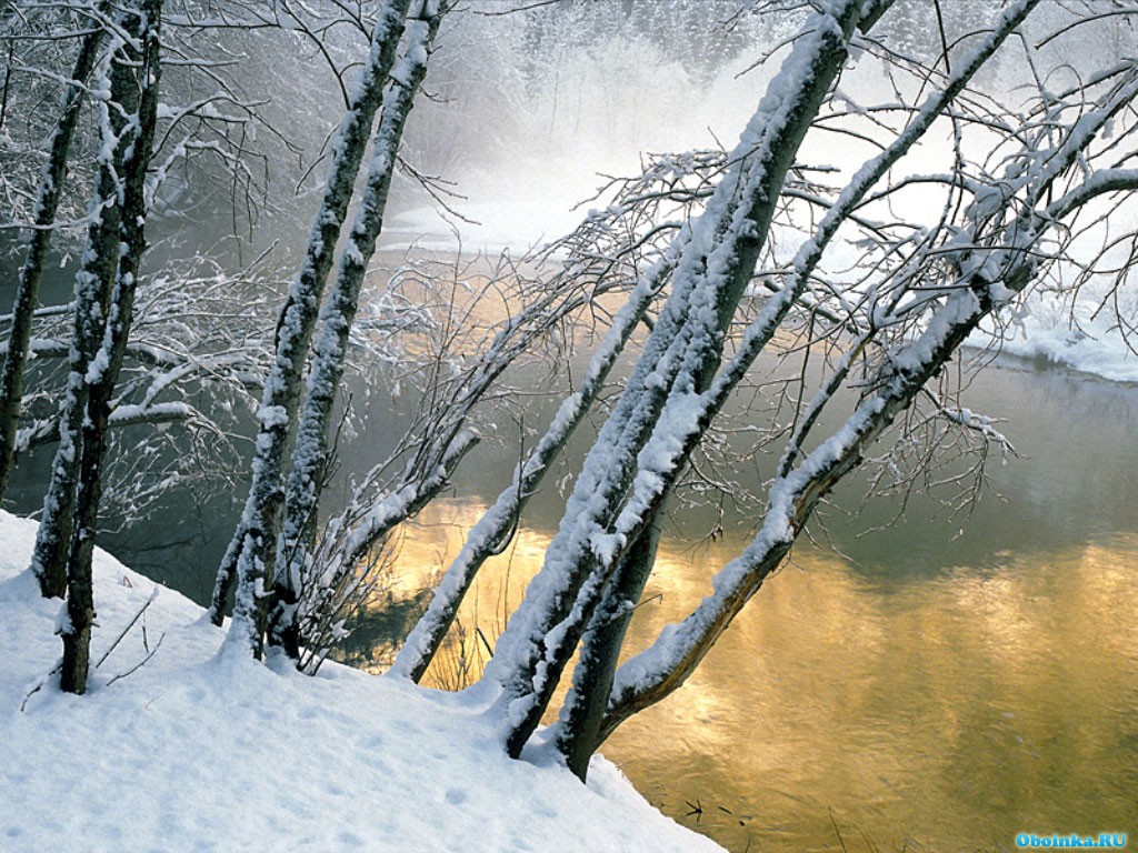  ,     - 1024x768