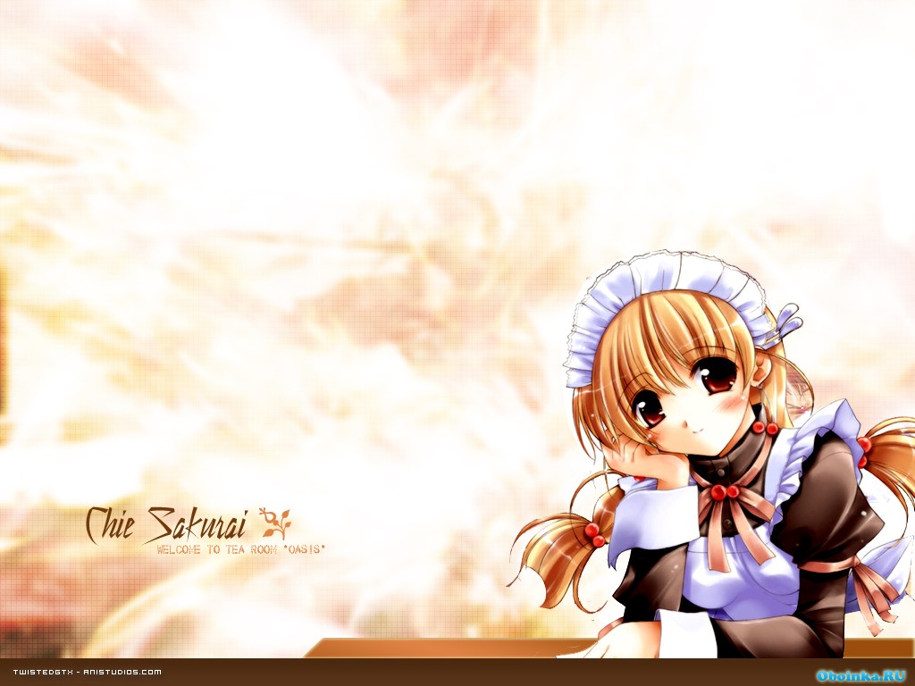  ,     - 1024x768