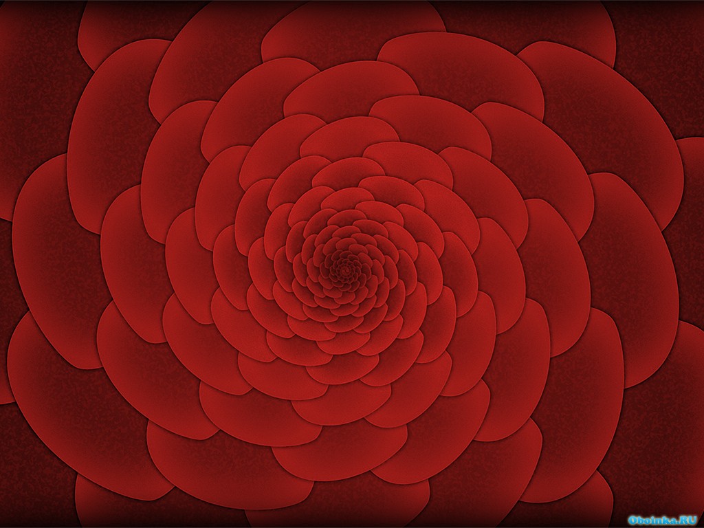  ,     - 1024x768