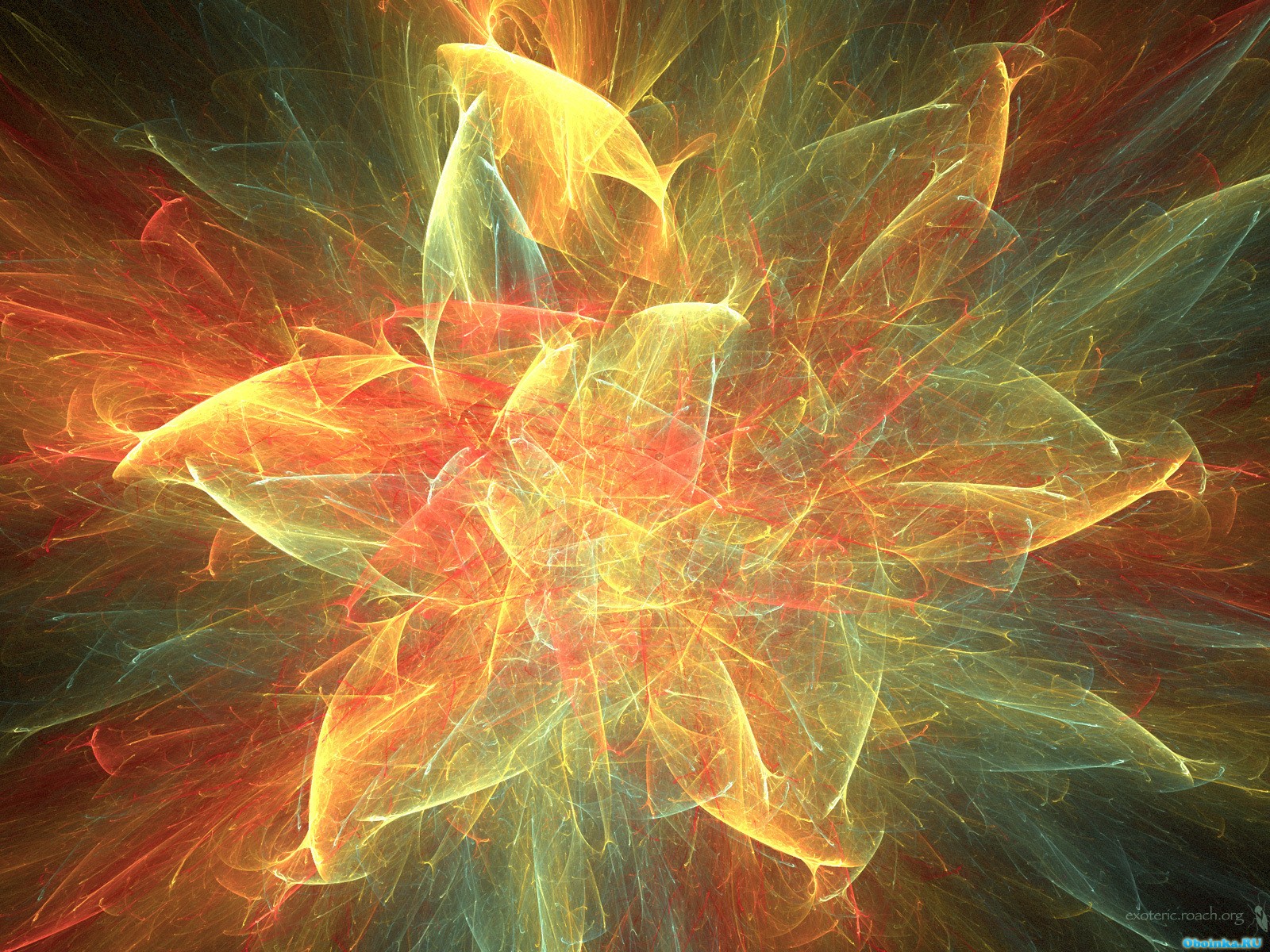  ,     - 1600x1200