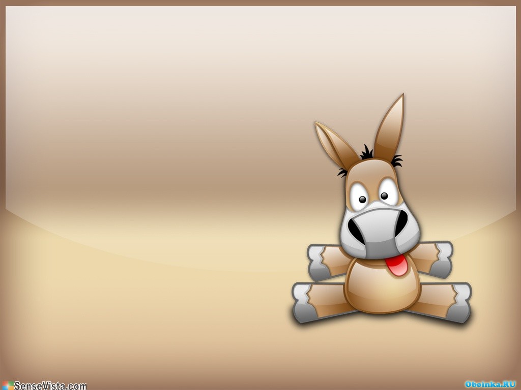  ,     - 1024x768